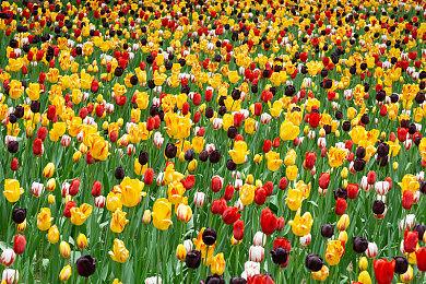 不用再等了！ 《天国：拯救2》 正式上线！